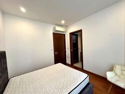 Holland Link (D10), Terrace #593319411